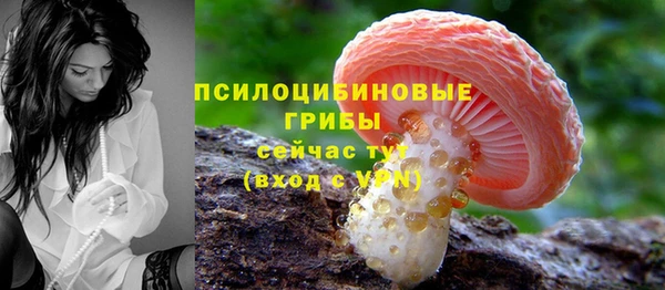 гидра Балабаново